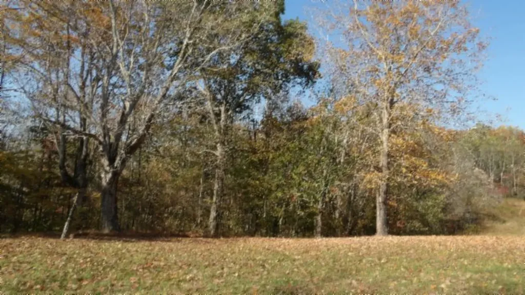 8.60AC Moss Arcot Road Celina TN 38551