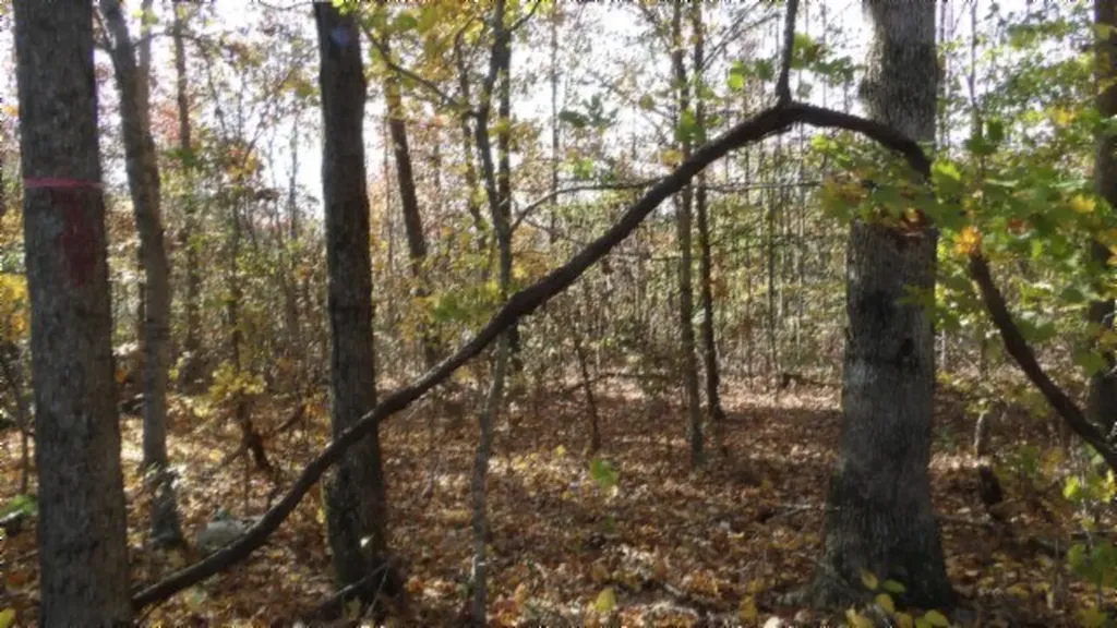 8.60AC Moss Arcot Road Celina TN 38551