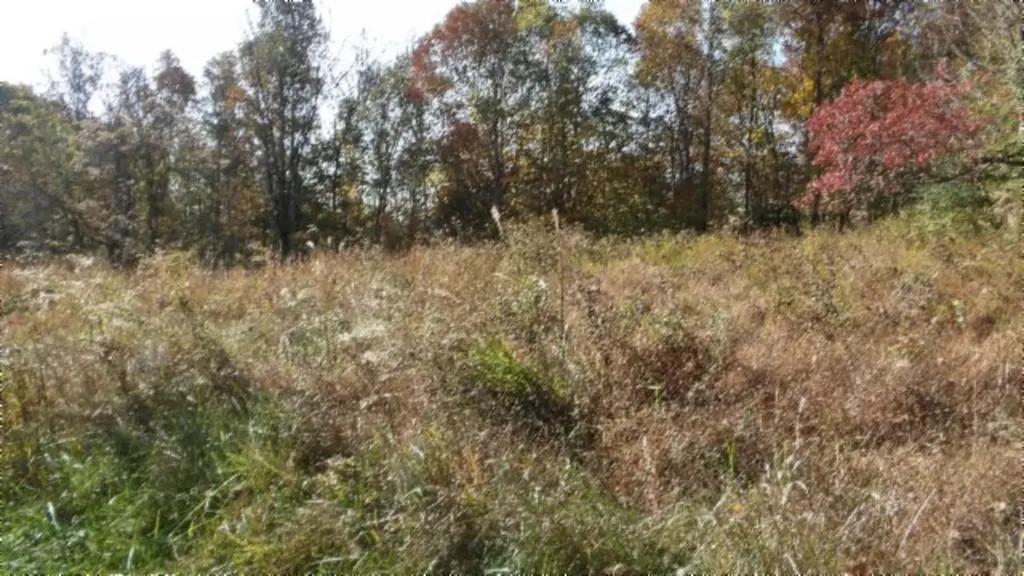 8.60AC Moss Arcot Road Celina TN 38551