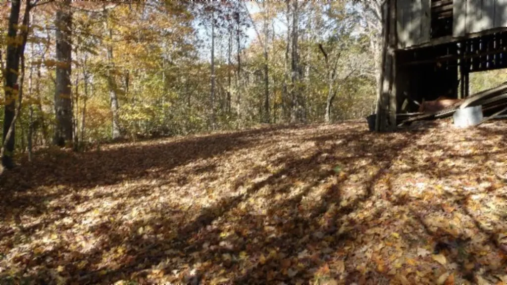 8.60AC Moss Arcot Road Celina TN 38551