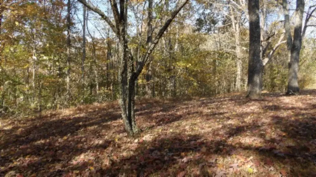 8.60AC Moss Arcot Road Celina TN 38551