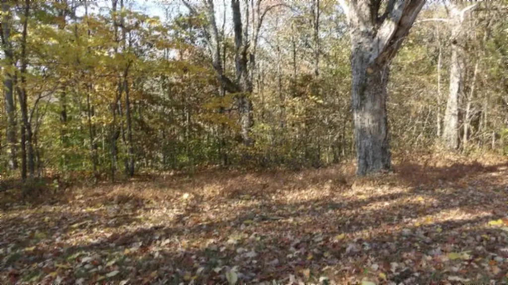 8.60AC Moss Arcot Road Celina TN 38551