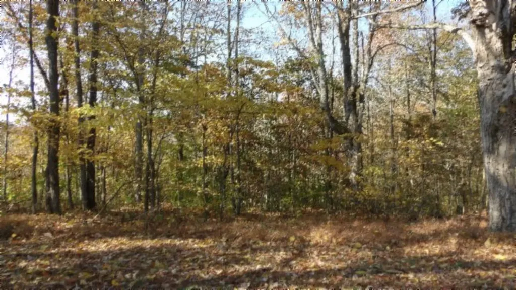 8.60AC Moss Arcot Road Celina TN 38551