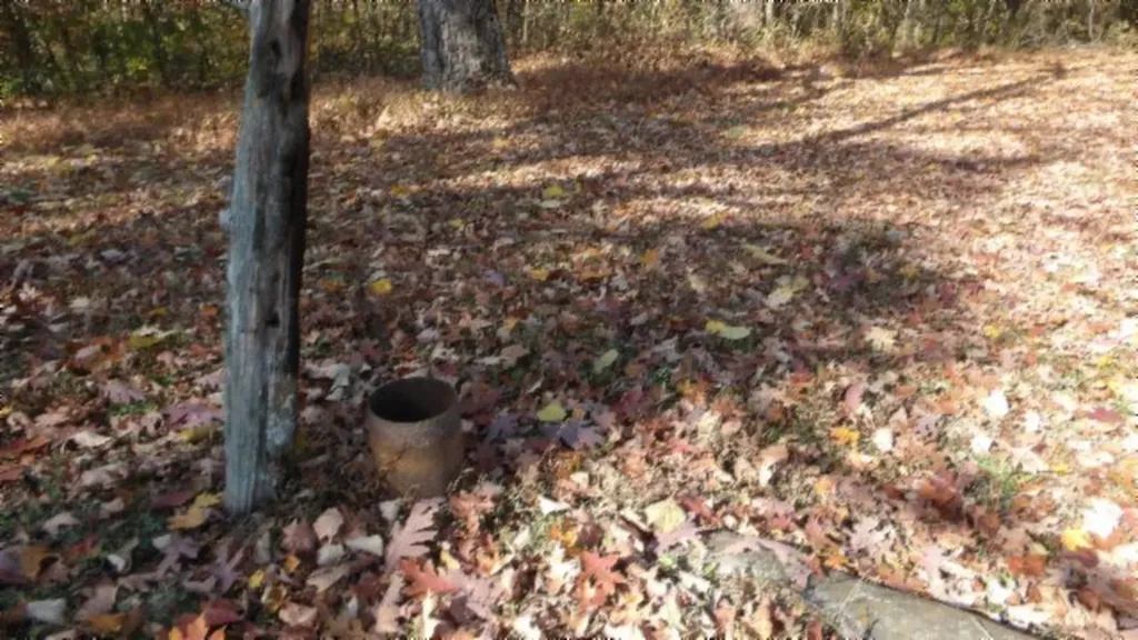 8.60AC Moss Arcot Road Celina TN 38551