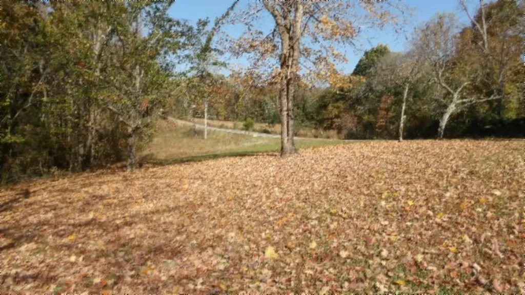 8.60AC Moss Arcot Road Celina TN 38551