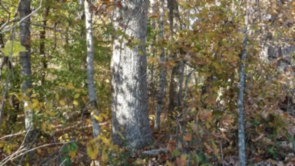 8.60AC Moss Arcot Road Celina TN 38551