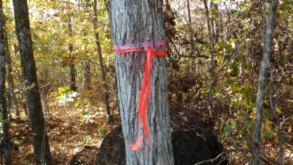 8.60AC Moss Arcot Road Celina TN 38551