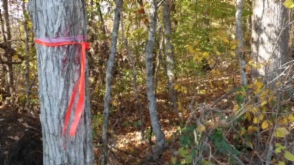 8.60AC Moss Arcot Road Celina TN 38551