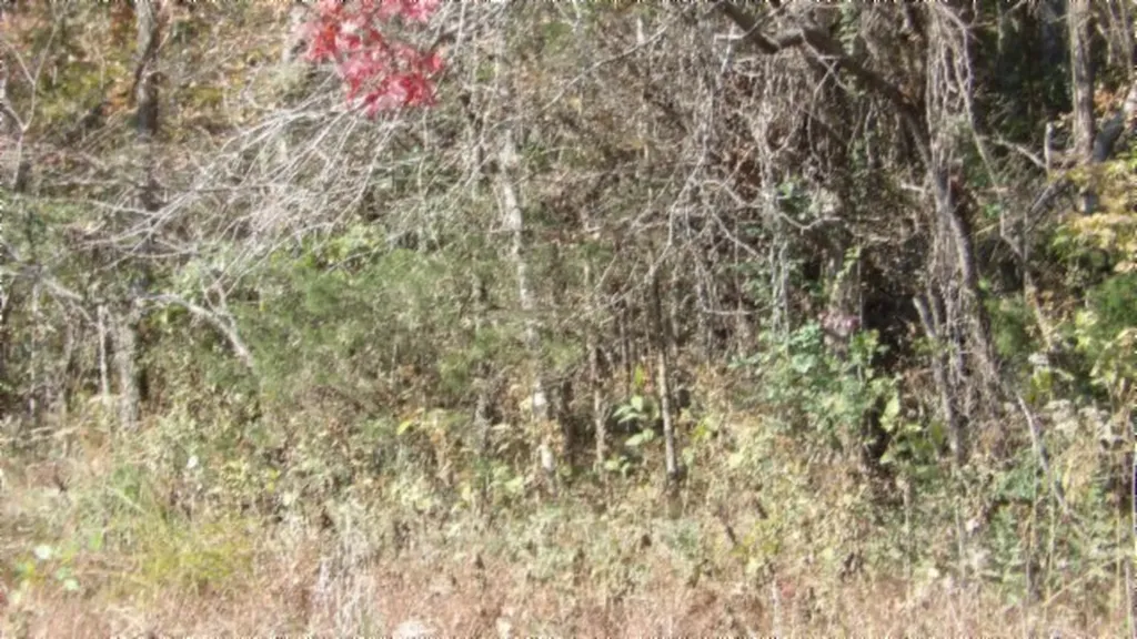 8.60AC Moss Arcot Road Celina TN 38551