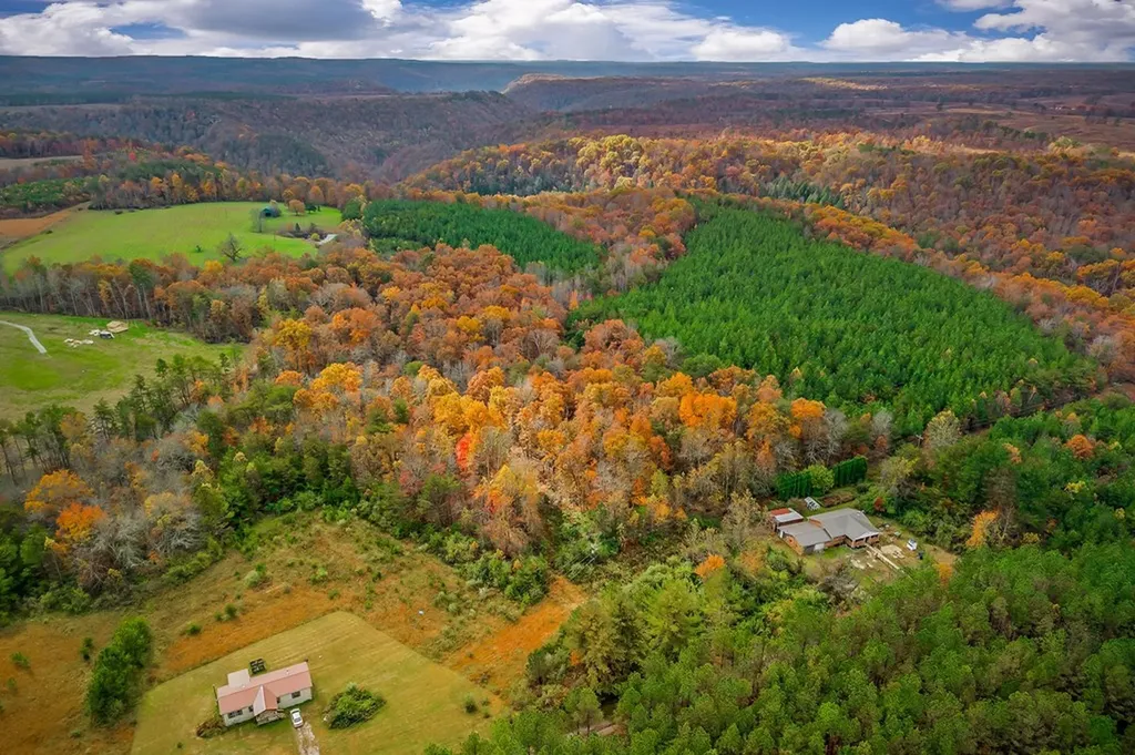 345 Jw Farris Drive Sparta TN 38583