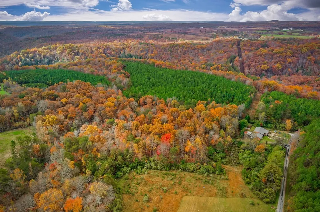 345 Jw Farris Drive Sparta TN 38583