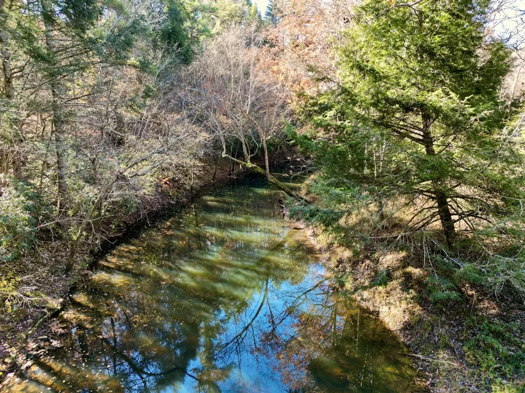0 Daddy's Creek Trail - 7.92 Acres Crossville TN 38555