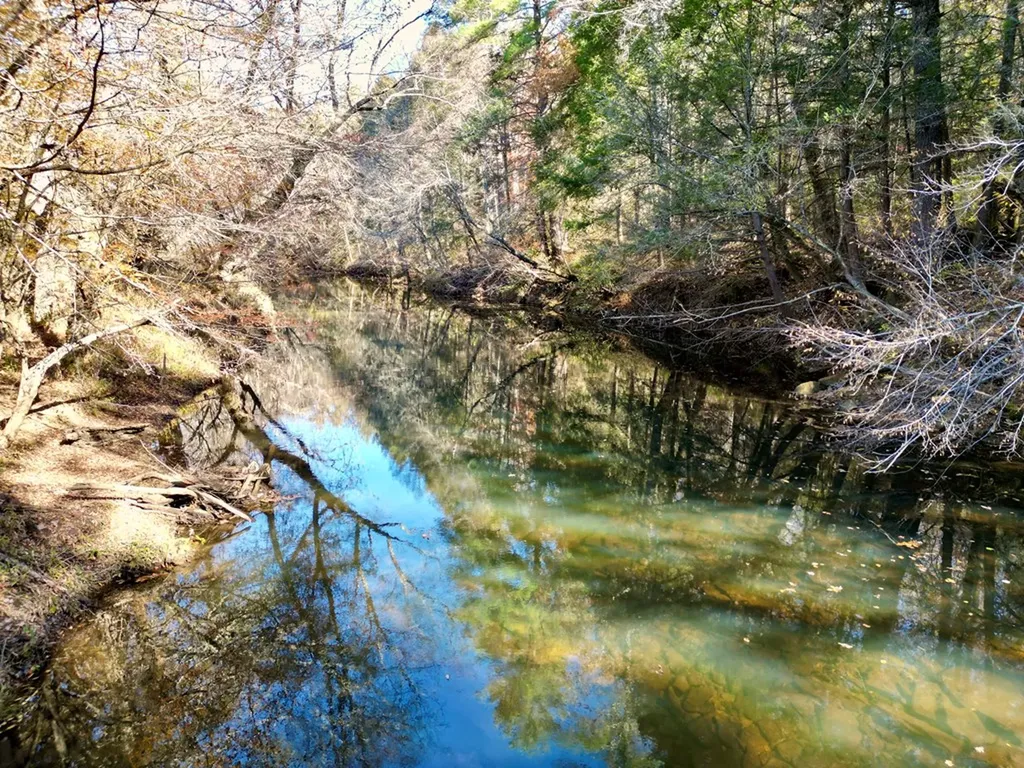 0 Daddy's Creek Trail - 7.92 Acres Crossville TN 38555