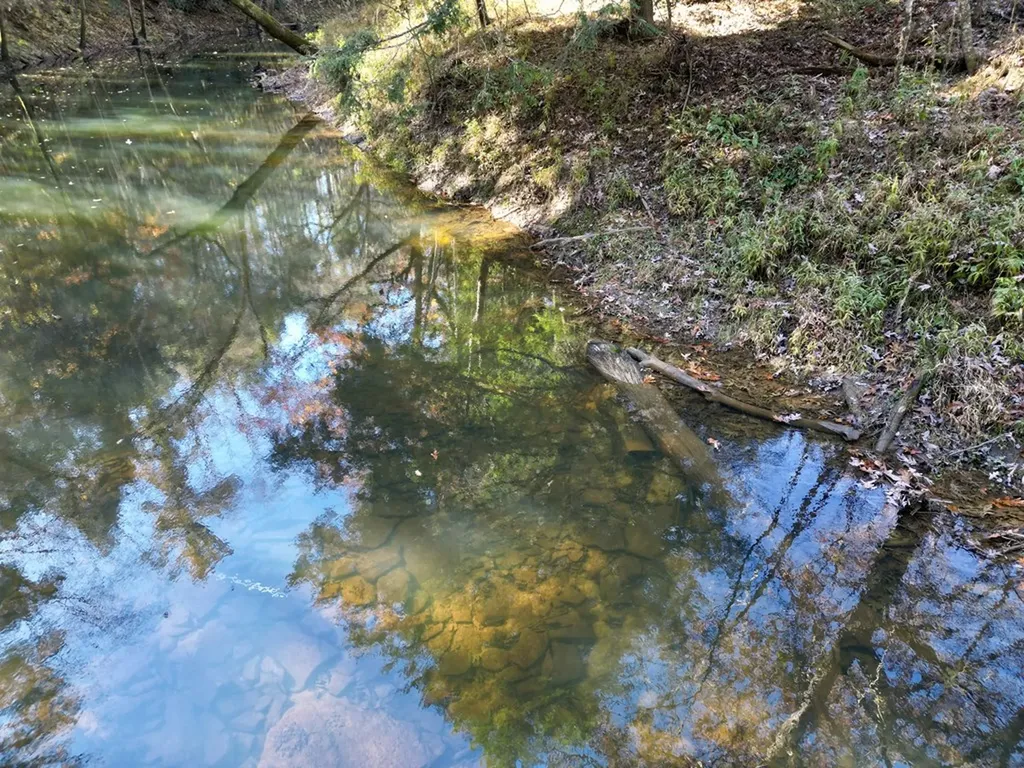 0 Daddy's Creek Trail - 7.92 Acres Crossville TN 38555