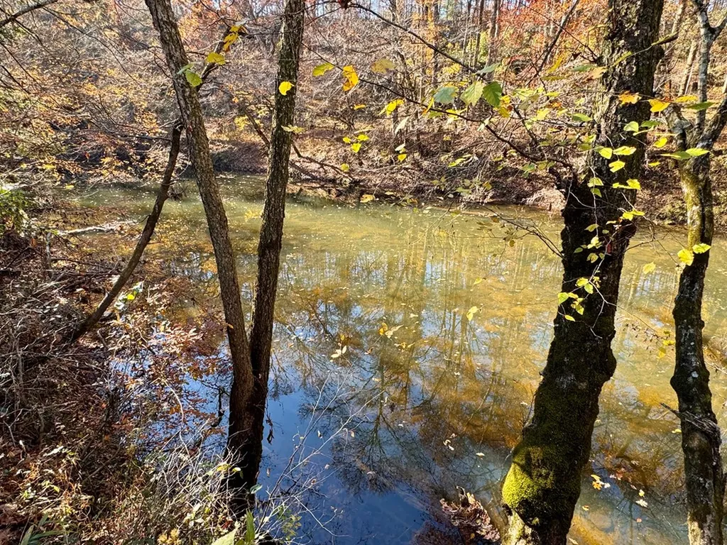 0 Daddy's Creek Trail - 7.92 Acres Crossville TN 38555