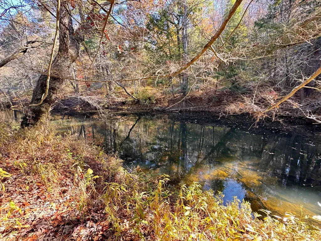 0 Daddy's Creek Trail - 7.92 Acres Crossville TN 38555