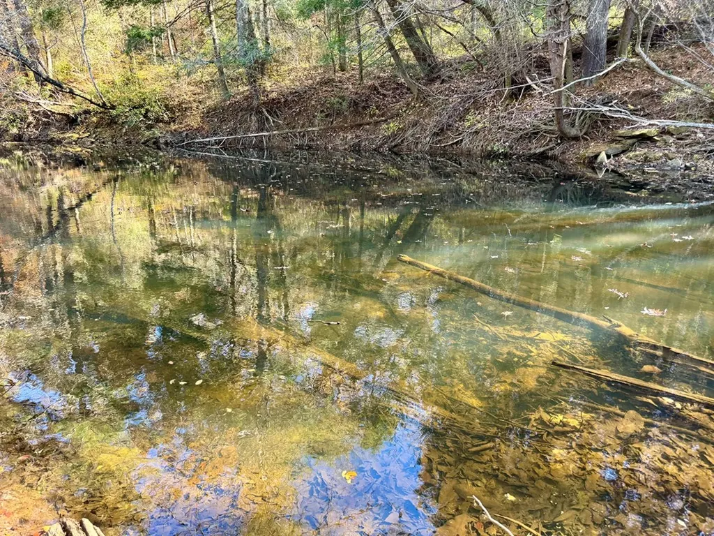 0 Daddy's Creek Trail - 7.92 Acres Crossville TN 38555