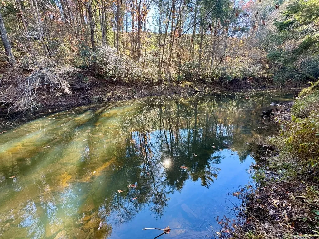 0 Daddy's Creek Trail - 7.92 Acres Crossville TN 38555