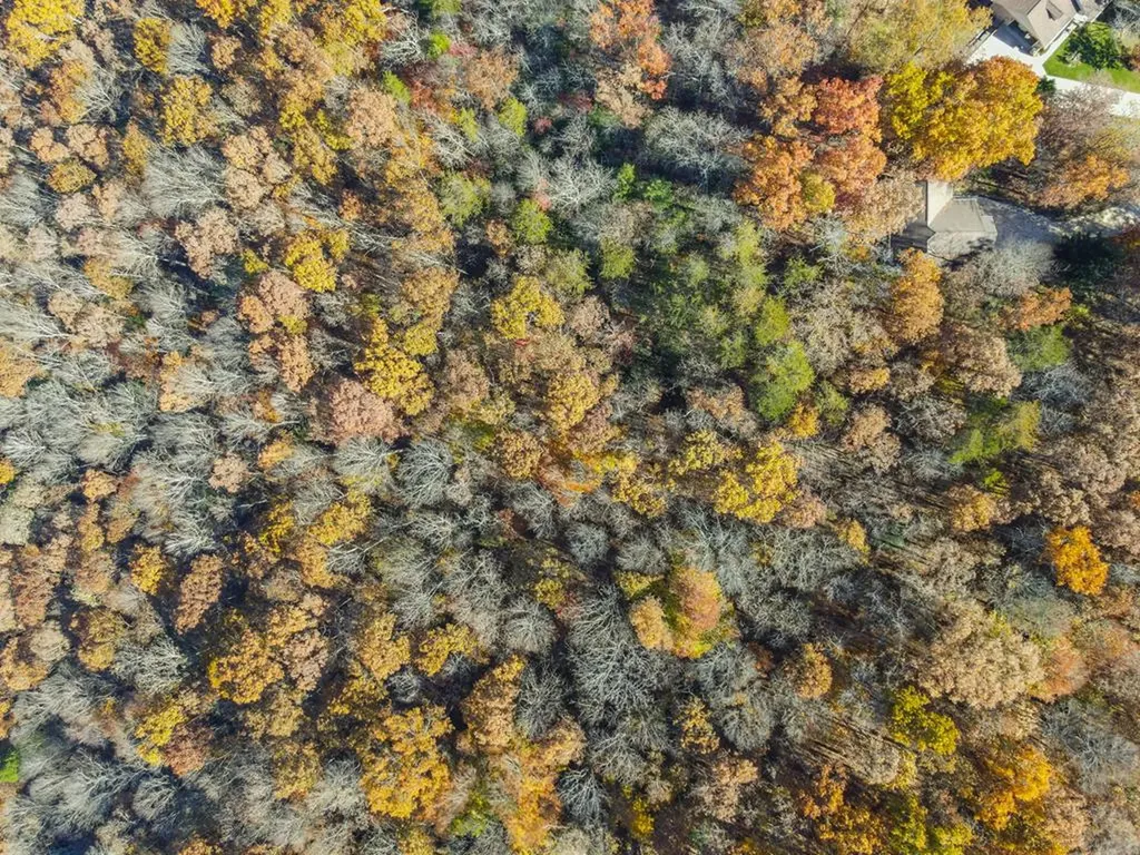 128 Sunset Point Crossville TN 38571-3679