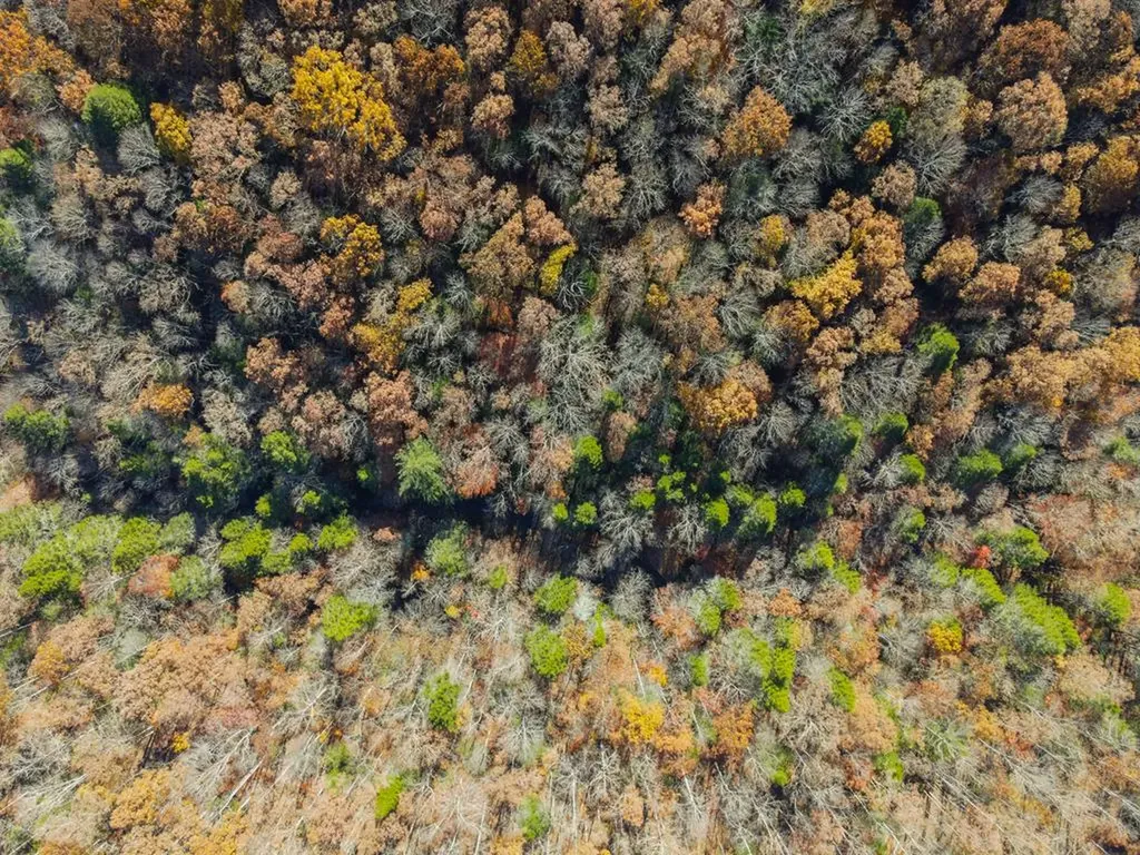 128 Sunset Point Crossville TN 38571-3679