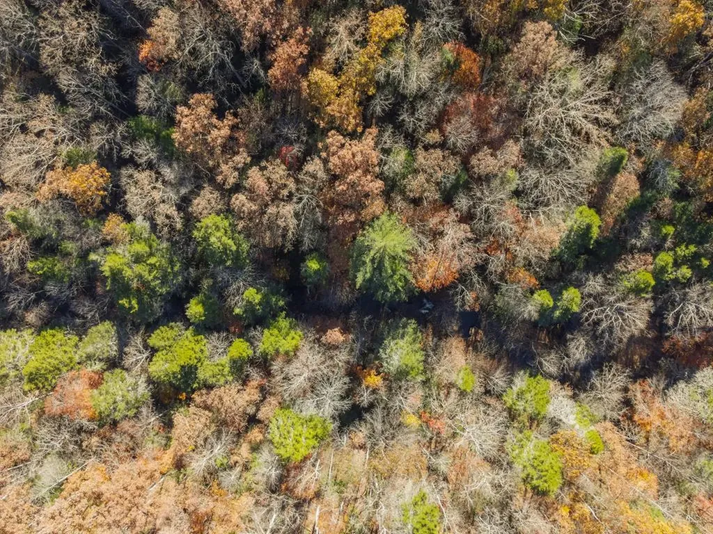 128 Sunset Point Crossville TN 38571-3679