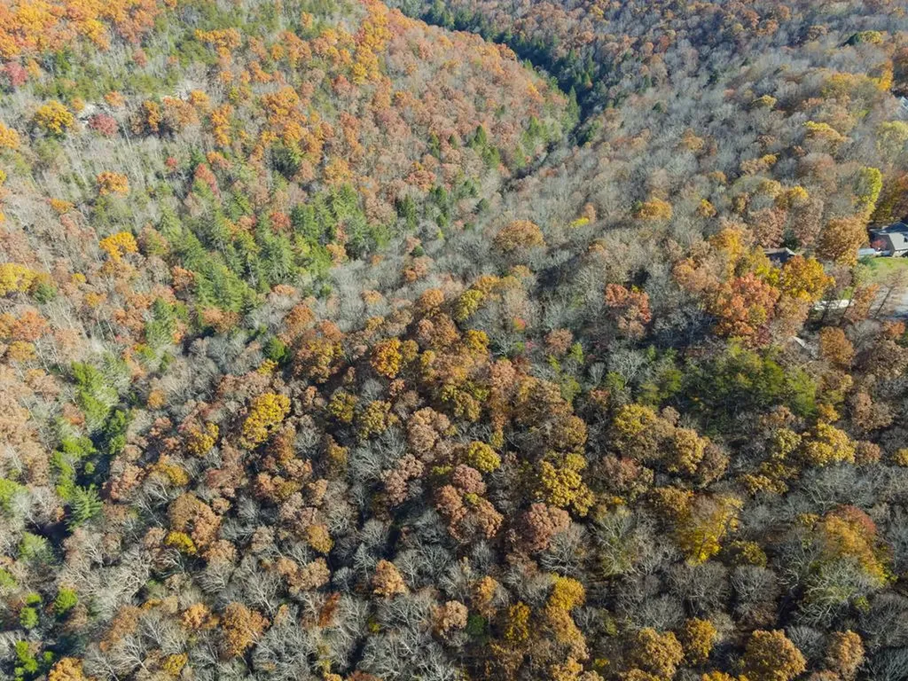 128 Sunset Point Crossville TN 38571-3679