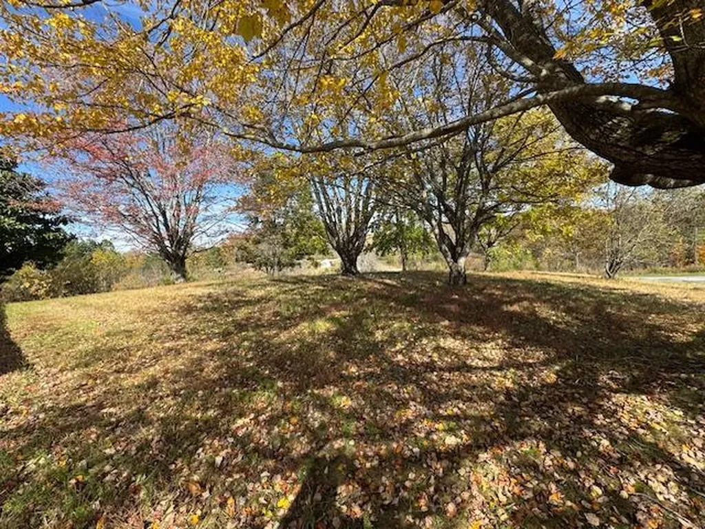 83 Millie Ridge Road Celina TN 38551