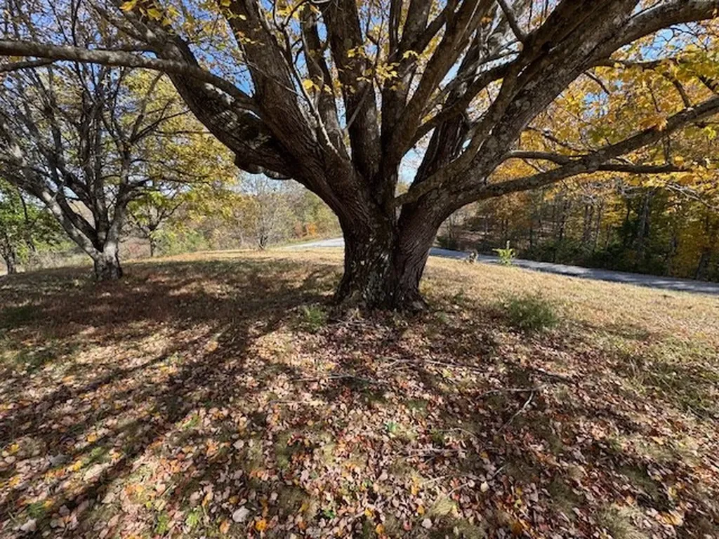 83 Millie Ridge Road Celina TN 38551