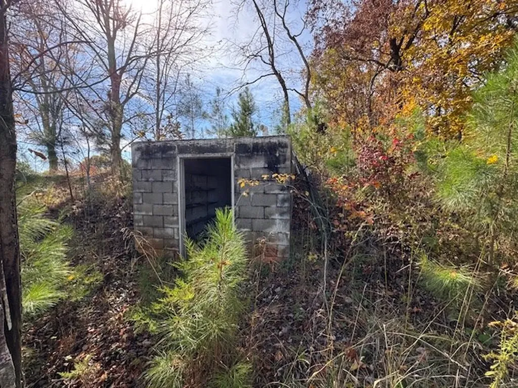 83 Millie Ridge Road Celina TN 38551