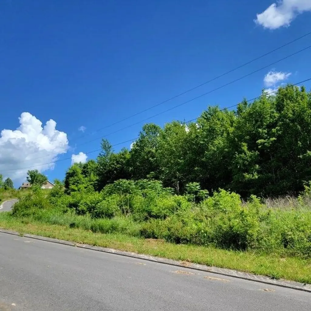 0 Hardin Road 74 Dunlap TN 37327