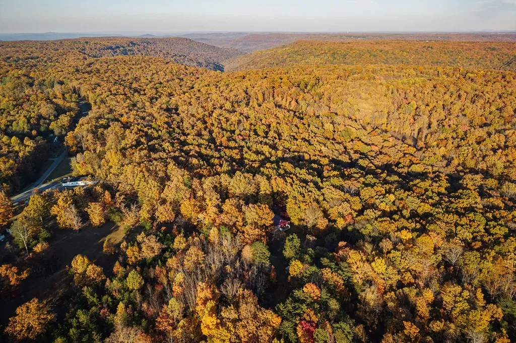 1294 Long Mountain Road Mcminnville TN 37110