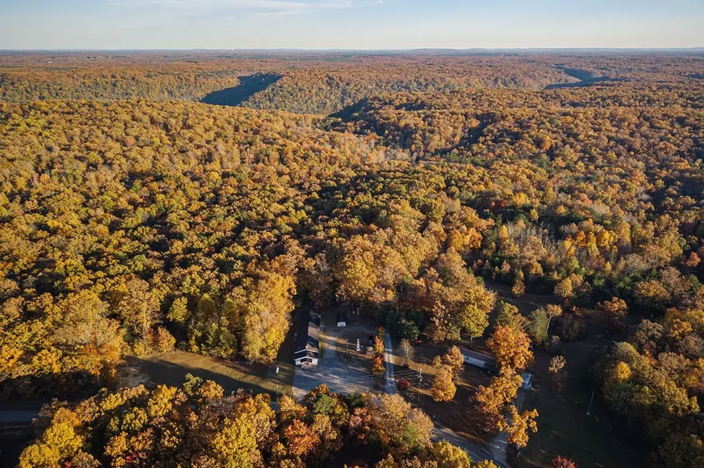 1294 Long Mountain Road Mcminnville TN 37110