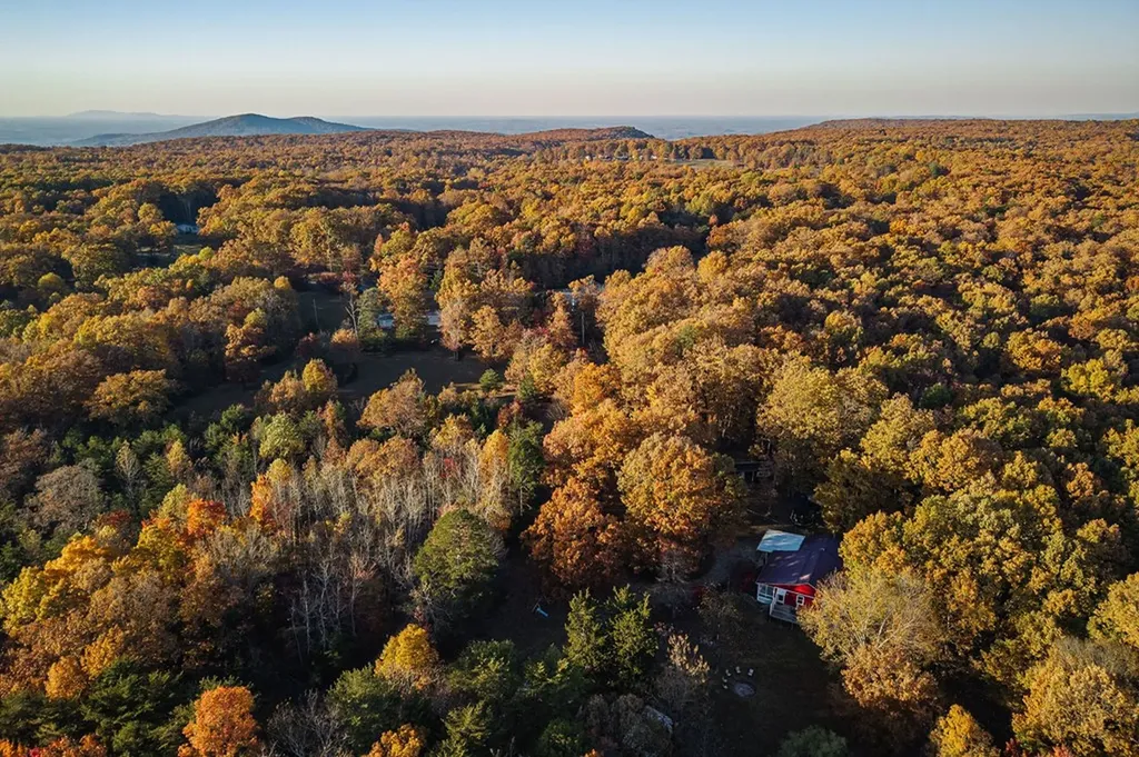 1294 Long Mountain Road Mcminnville TN 37110