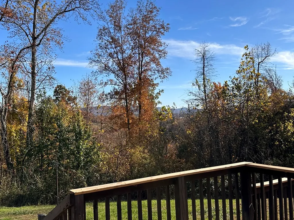 1141 Nick Road Pall Mall TN 38577