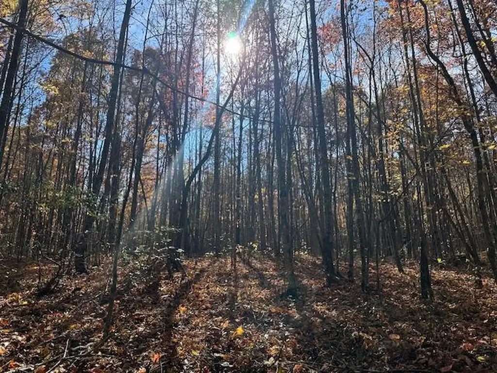 Lot 321 Hilltop Lane Wilder TN 38589