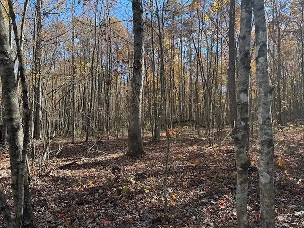 Lot 321 Hilltop Lane Wilder TN 38589