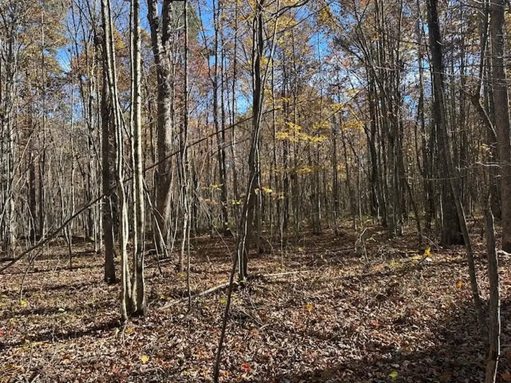 Lot 321 Hilltop Lane Wilder TN 38589