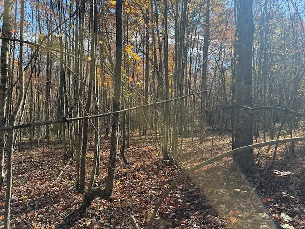 Lot 321 Hilltop Lane Wilder TN 38589