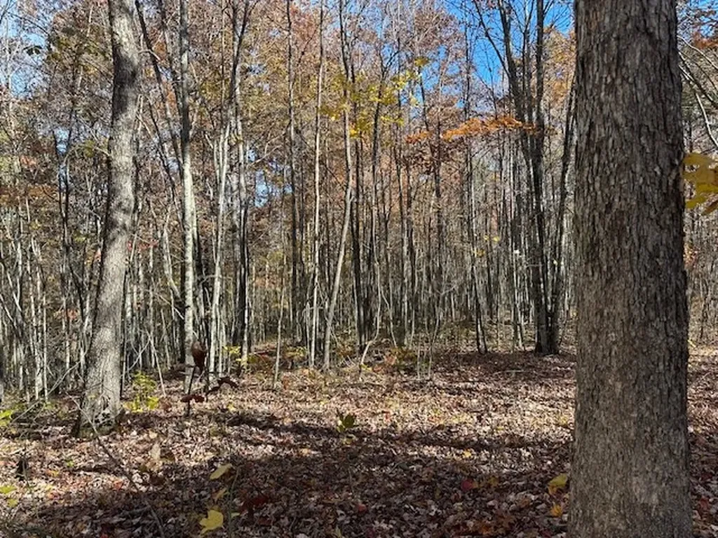Lot 321 Hilltop Lane Wilder TN 38589