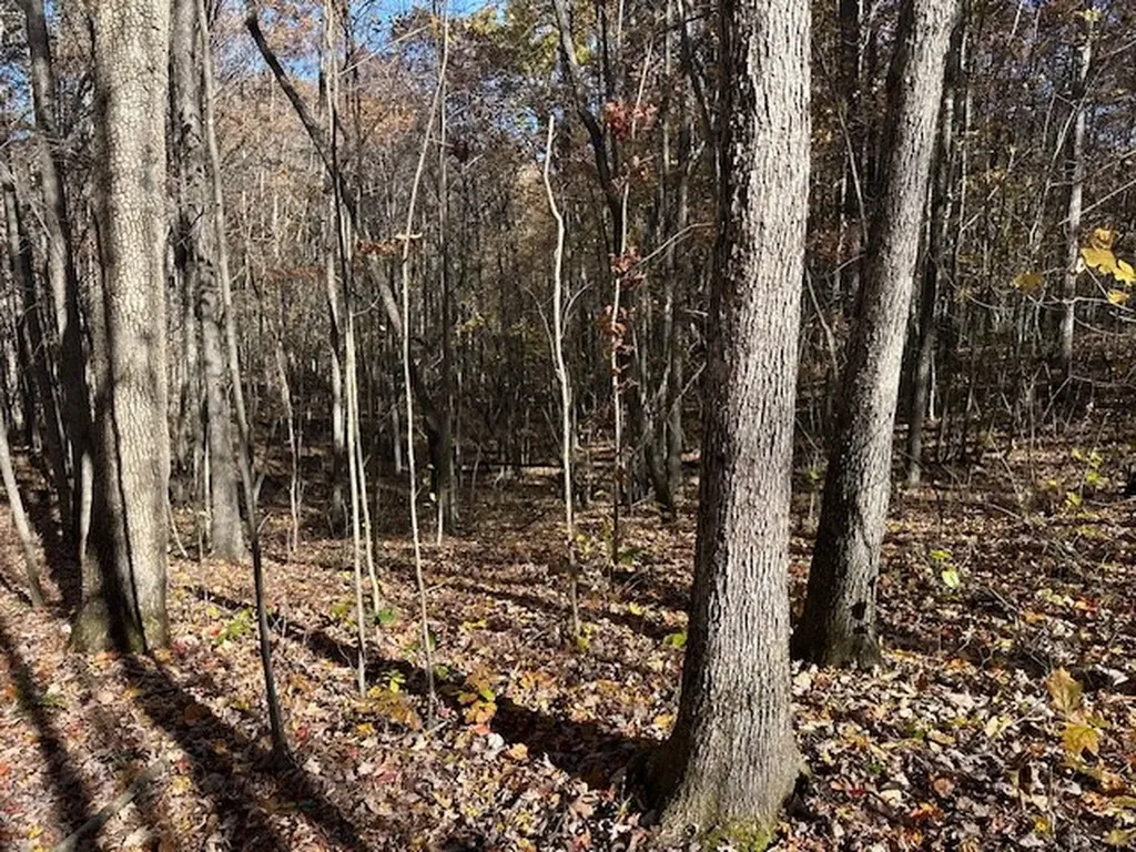 Lot 321 Hilltop Lane Wilder TN 38589