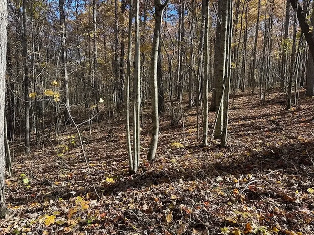 Lot 321 Hilltop Lane Wilder TN 38589