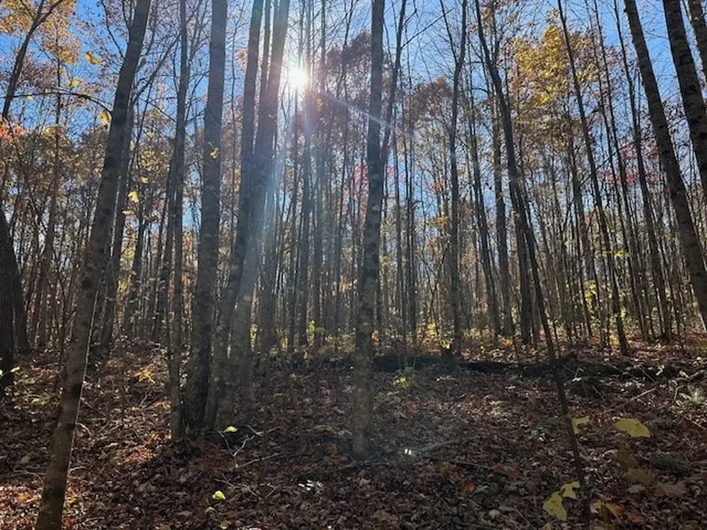 Lot 321 Hilltop Lane Wilder TN 38589