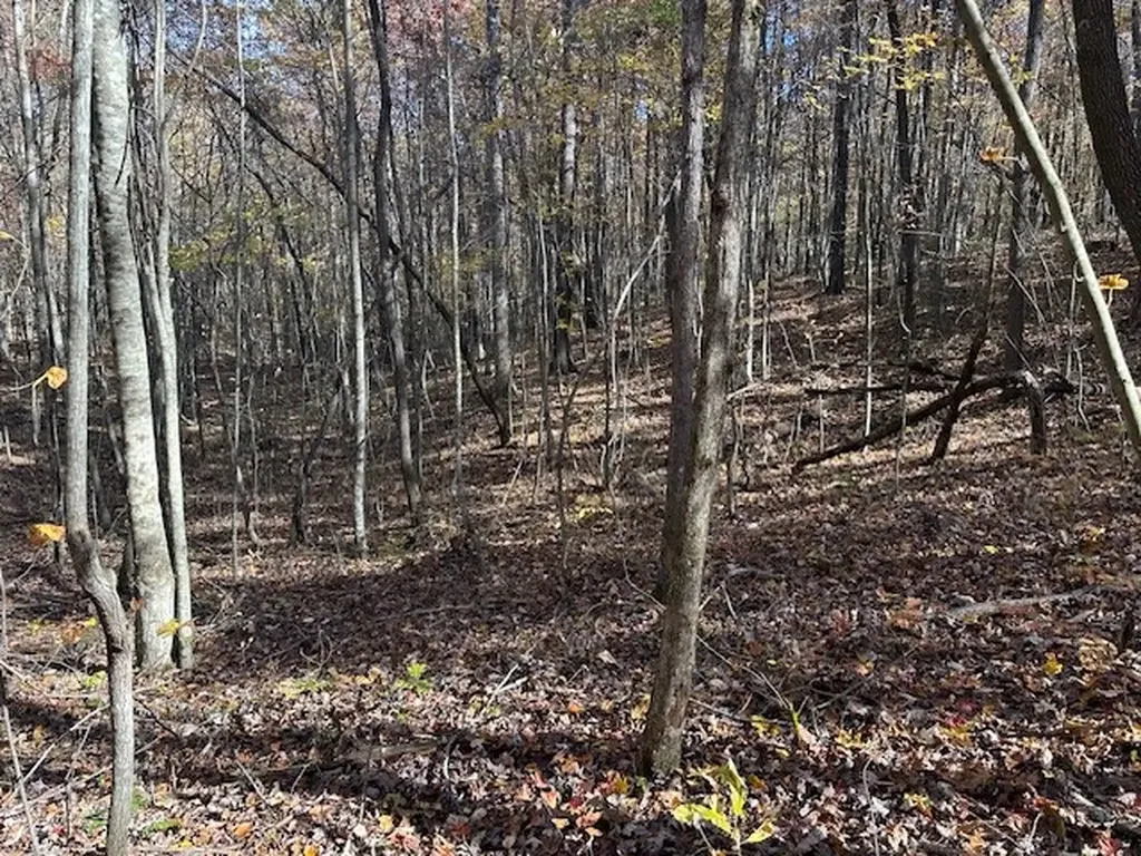 Lot 321 Hilltop Lane Wilder TN 38589
