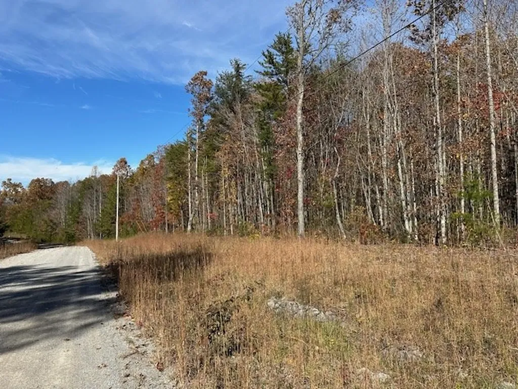 Lot 321 Hilltop Lane Wilder TN 38589