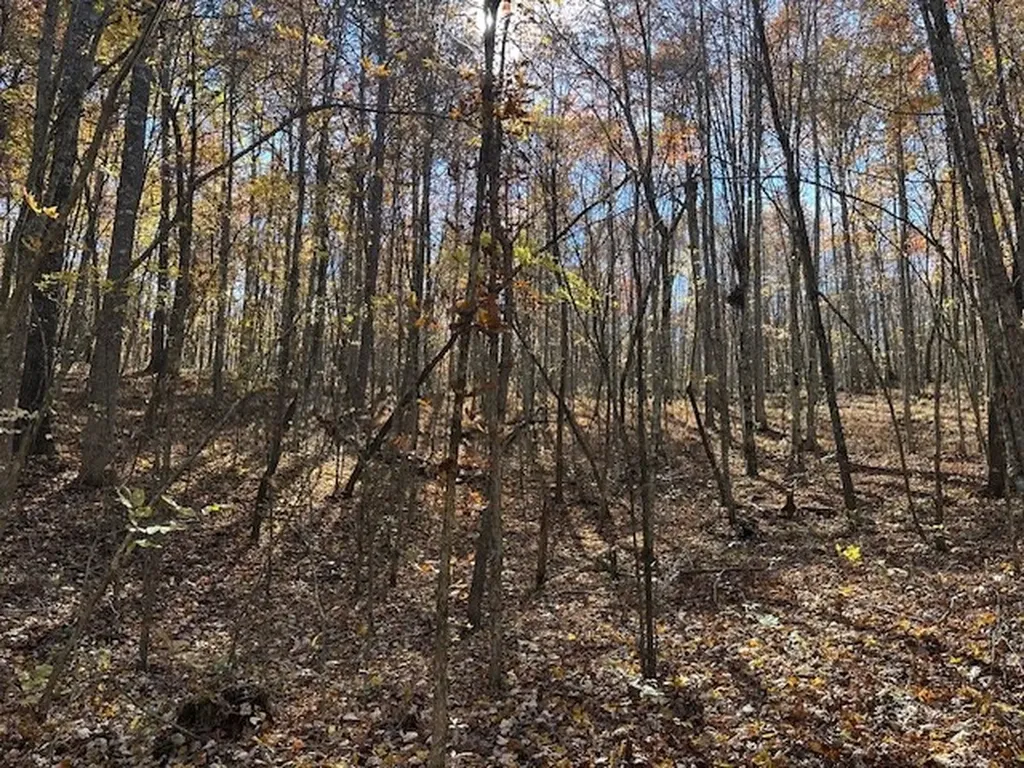 Lot 321 Hilltop Lane Wilder TN 38589