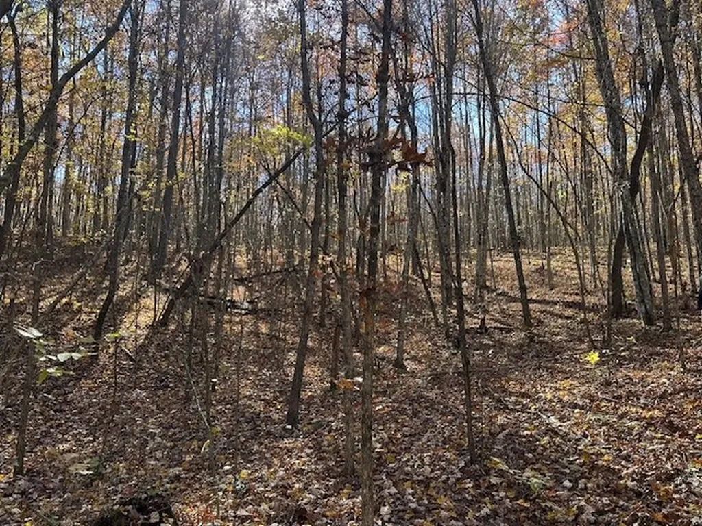 Lot 321 Hilltop Lane Wilder TN 38589