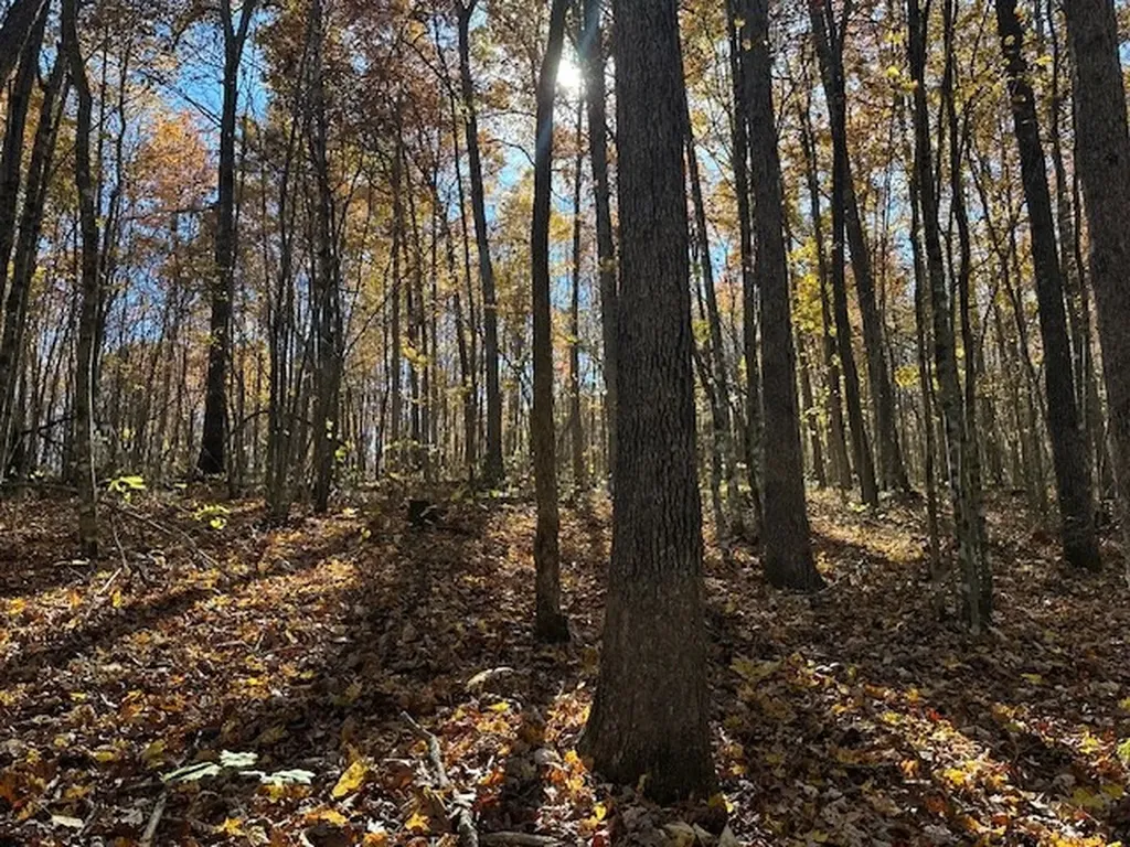Lot 321 Hilltop Lane Wilder TN 38589
