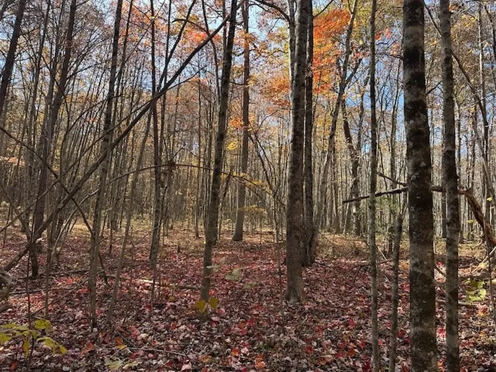 Lot 321 Hilltop Lane Wilder TN 38589