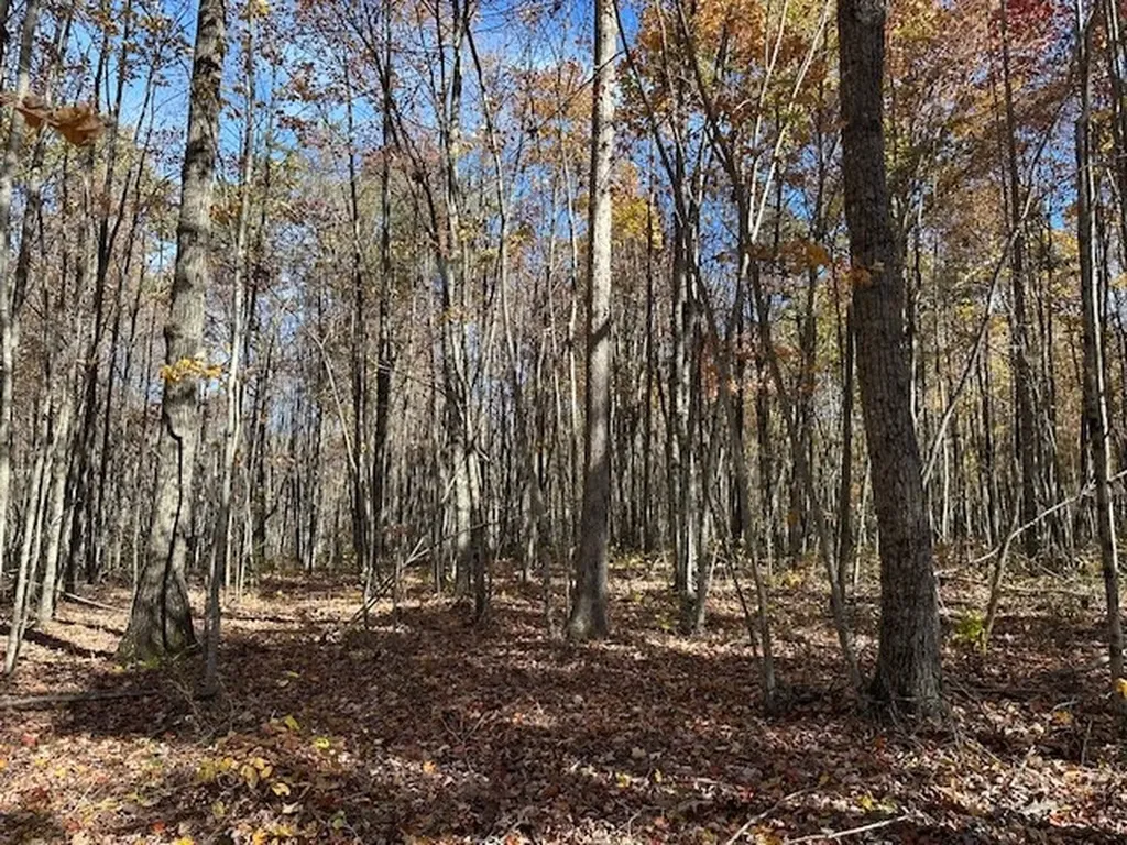 Lot 321 Hilltop Lane Wilder TN 38589