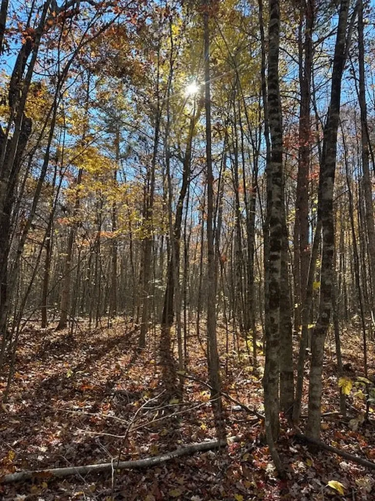 Lot 321 Hilltop Lane Wilder TN 38589